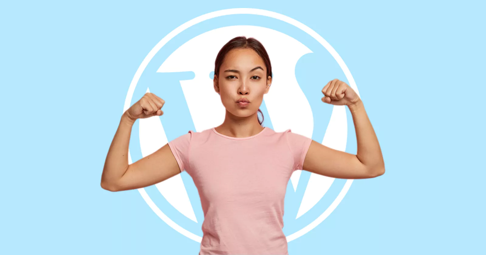 WordPress 刚刚锁定了所有插件和主题的安全性