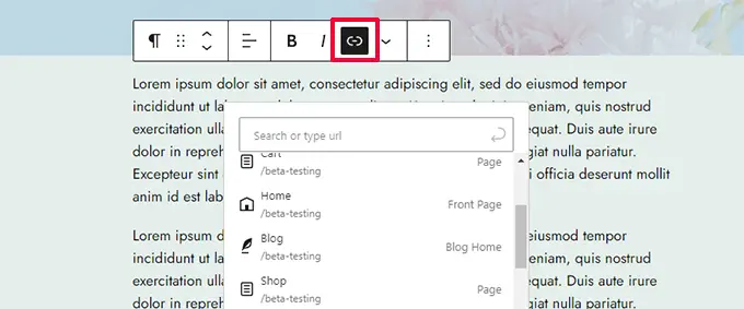 WordPress 6.5 中的新功能(功能和屏幕截图)